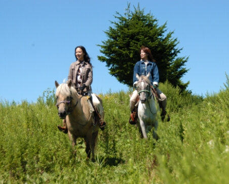 Trail Riding