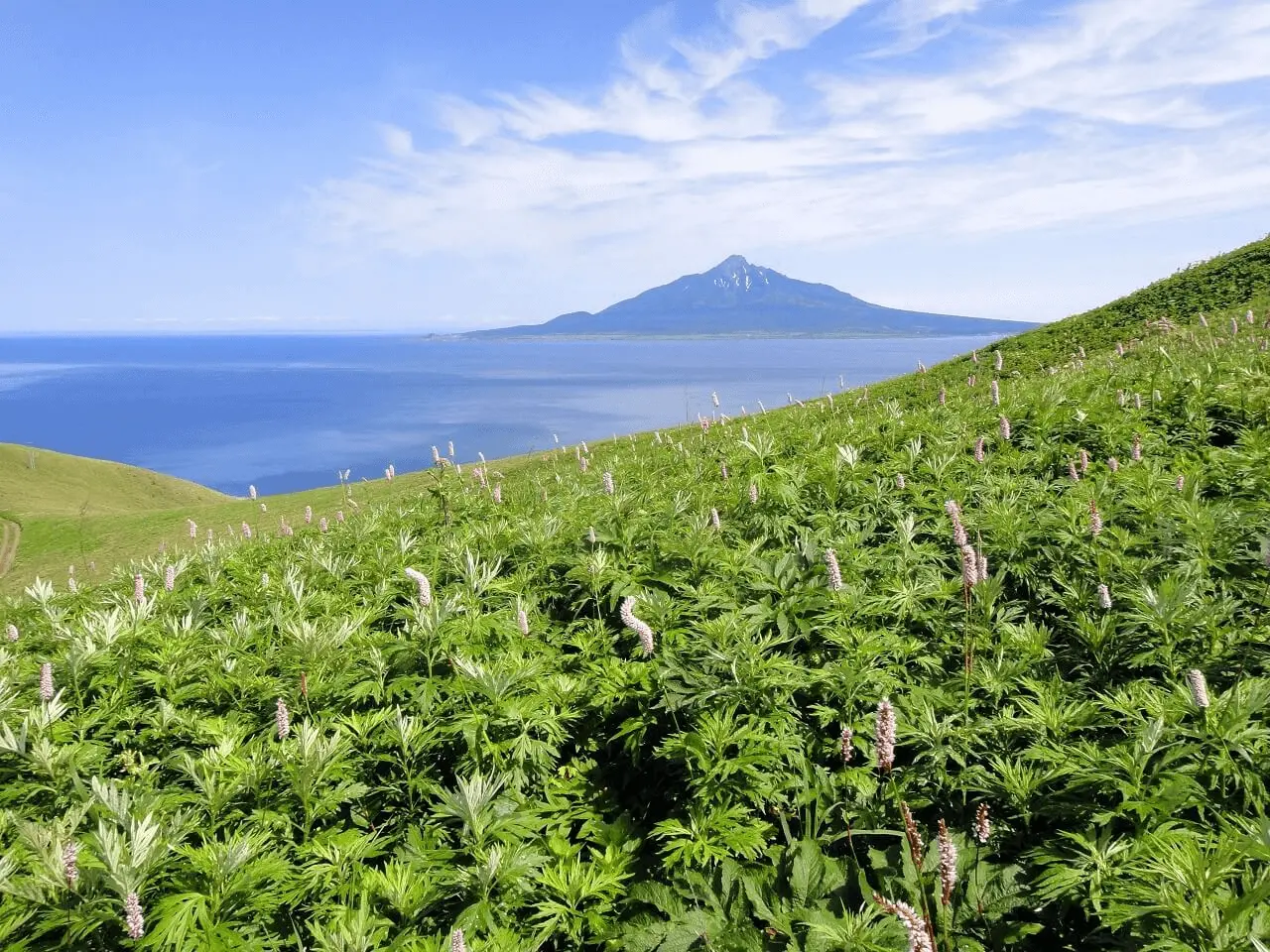 Go Hiking on Distant Rebun Island