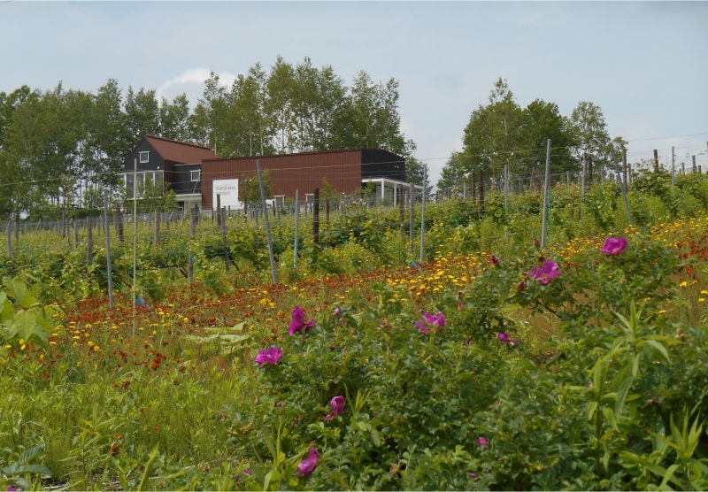 TAKIZAWA WINERY