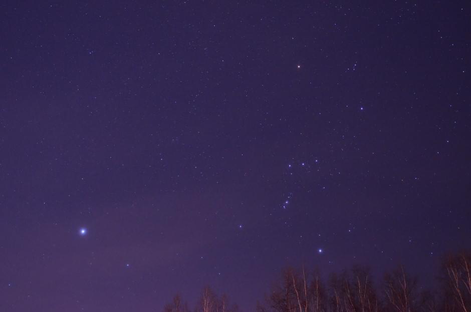 富良野ナイトウォッチング 動物星空鑑賞ツアー