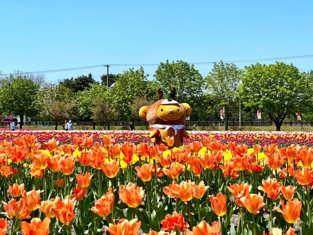 湧別町 日本最大級のかみゆうべつチューリップ公園 Hokkaido Love Line公式アカウント