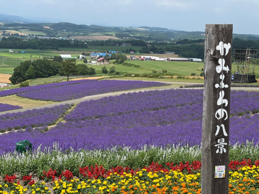 まさに今が見頃 富良野エリアラベンダートリップ Hokkaido Love Line公式アカウント