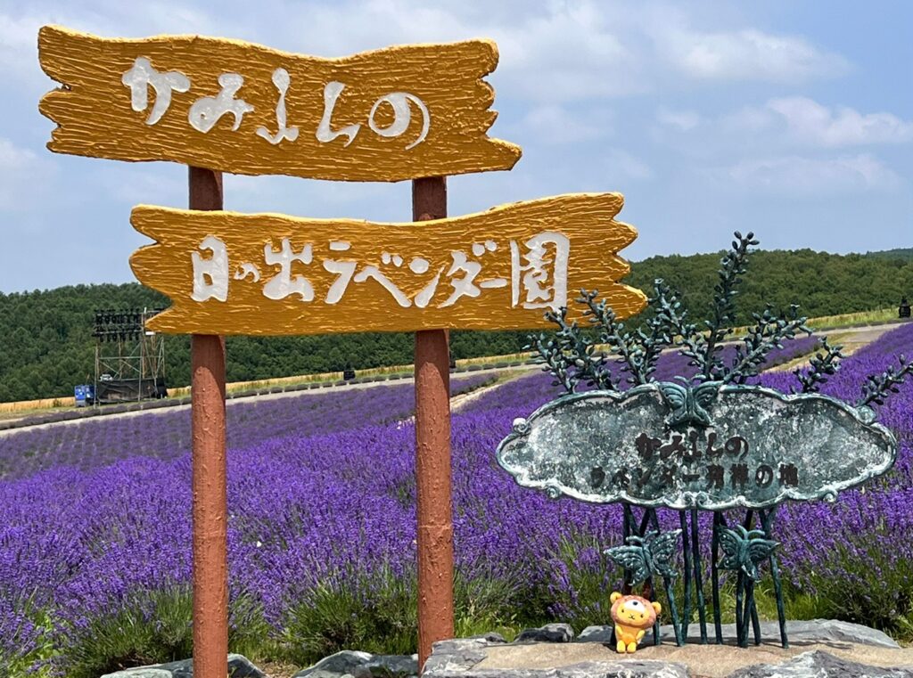 まさに今が見頃 富良野エリアラベンダートリップ Hokkaido Love Line公式アカウント