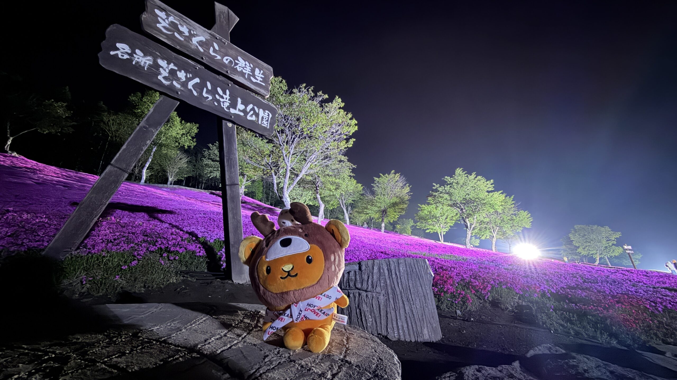 〈滝上町〉芝ざくら滝上公園夜間イルミネーション【TAKINOUE PINK AURORA】