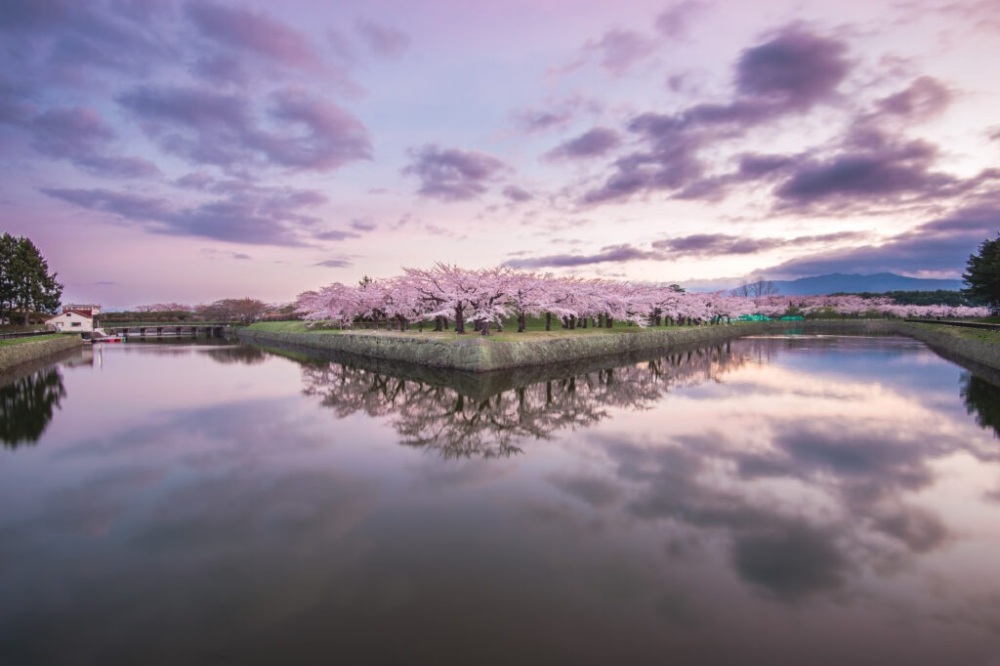 Hokkaido in bloom