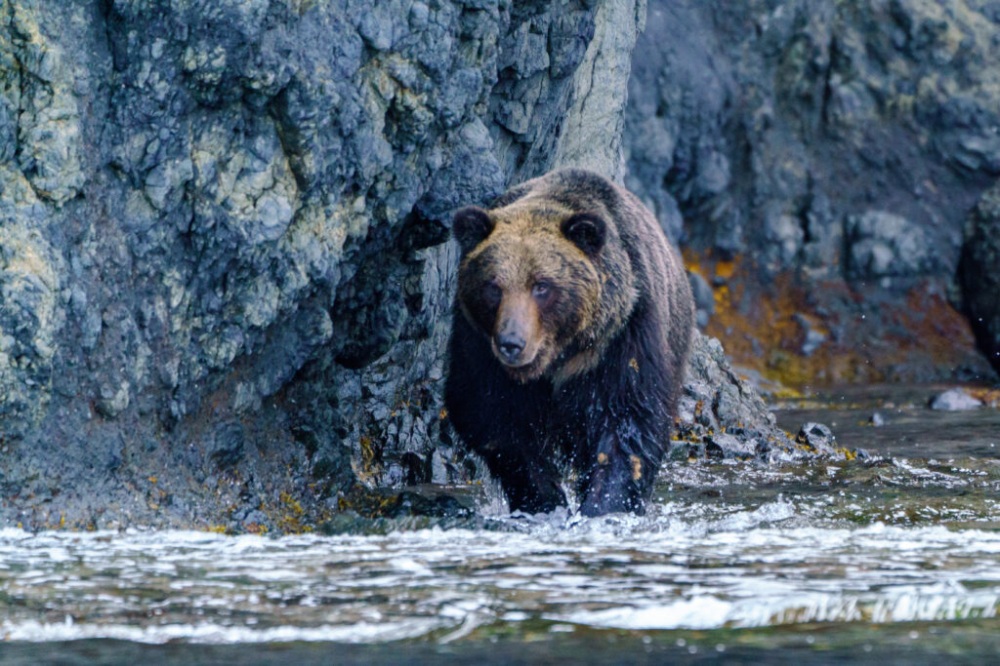 DiscoverJapan’s wild north