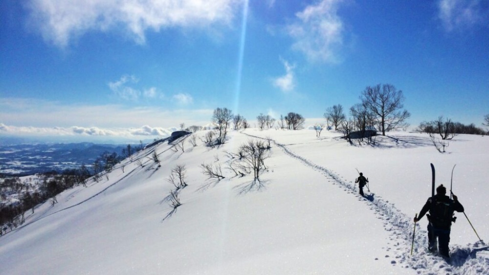 HOKKAIDO'S PERFECT POWDER SNOW