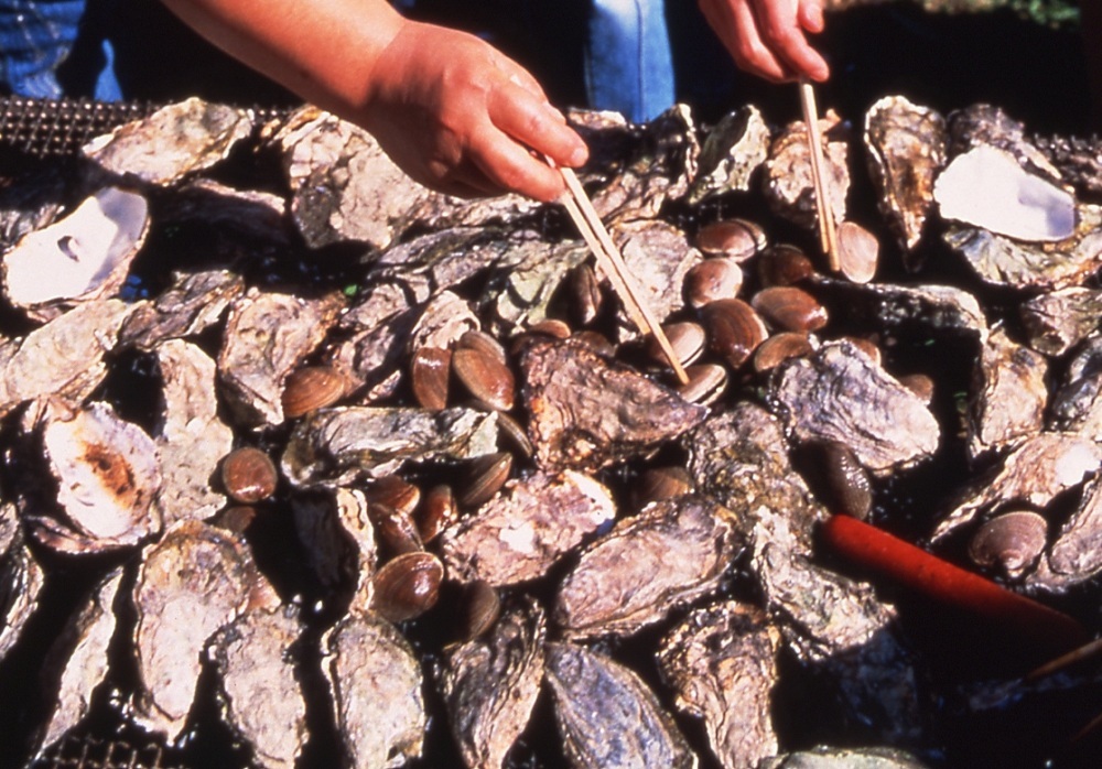 Akkeshi Oyster Festival