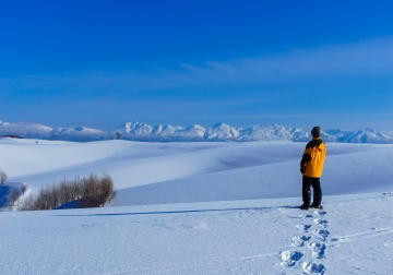 美瑛之丘絕景雪鞋體驗（所需時間：約2小時）