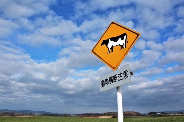 "Caution: Animals" sign