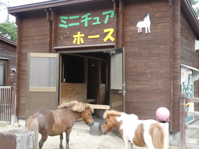 函館公園 動物施設