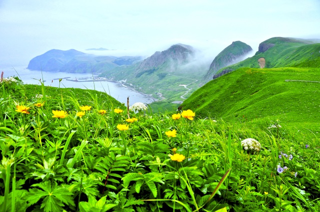 礼文島