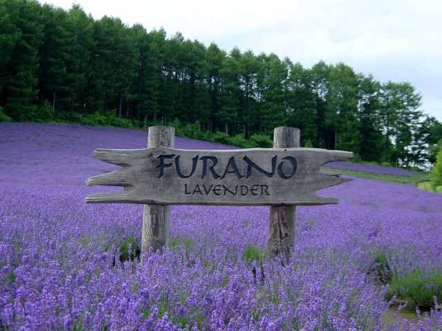 Furano Wine Factory