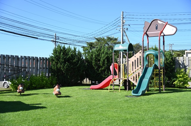 芝生の広場には遊具もあり公園感覚で遊びに行けます