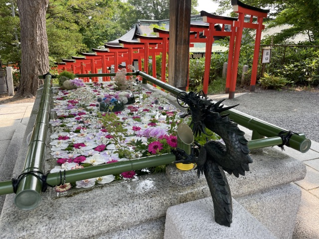 毎年4月から10月まで10回、花手水が開催されます