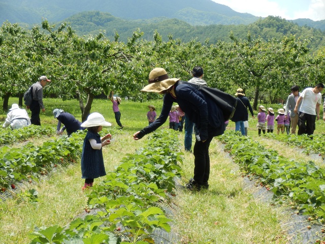 Hakkenzan Orchard