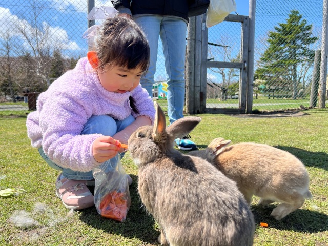 稚内市動物ふれあいランド