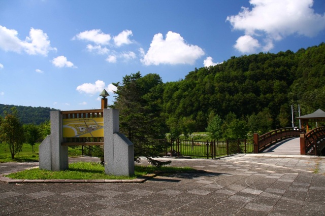 Asahikawa 21st Century Forest