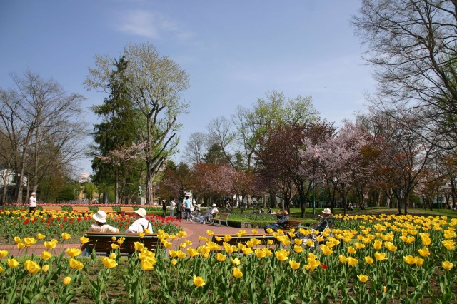 Tokiwa Park