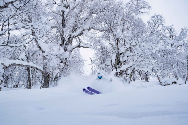 カムイスキーリンクス
