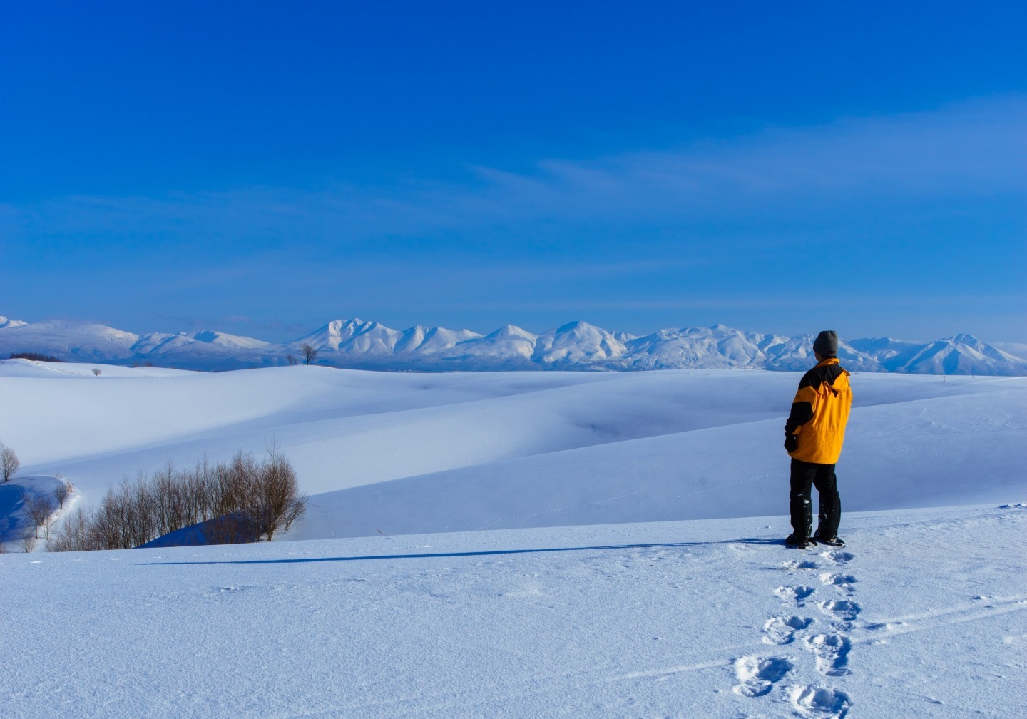 Spectacular views like you've never seen before! A winter trip to Asahikawa and Biei