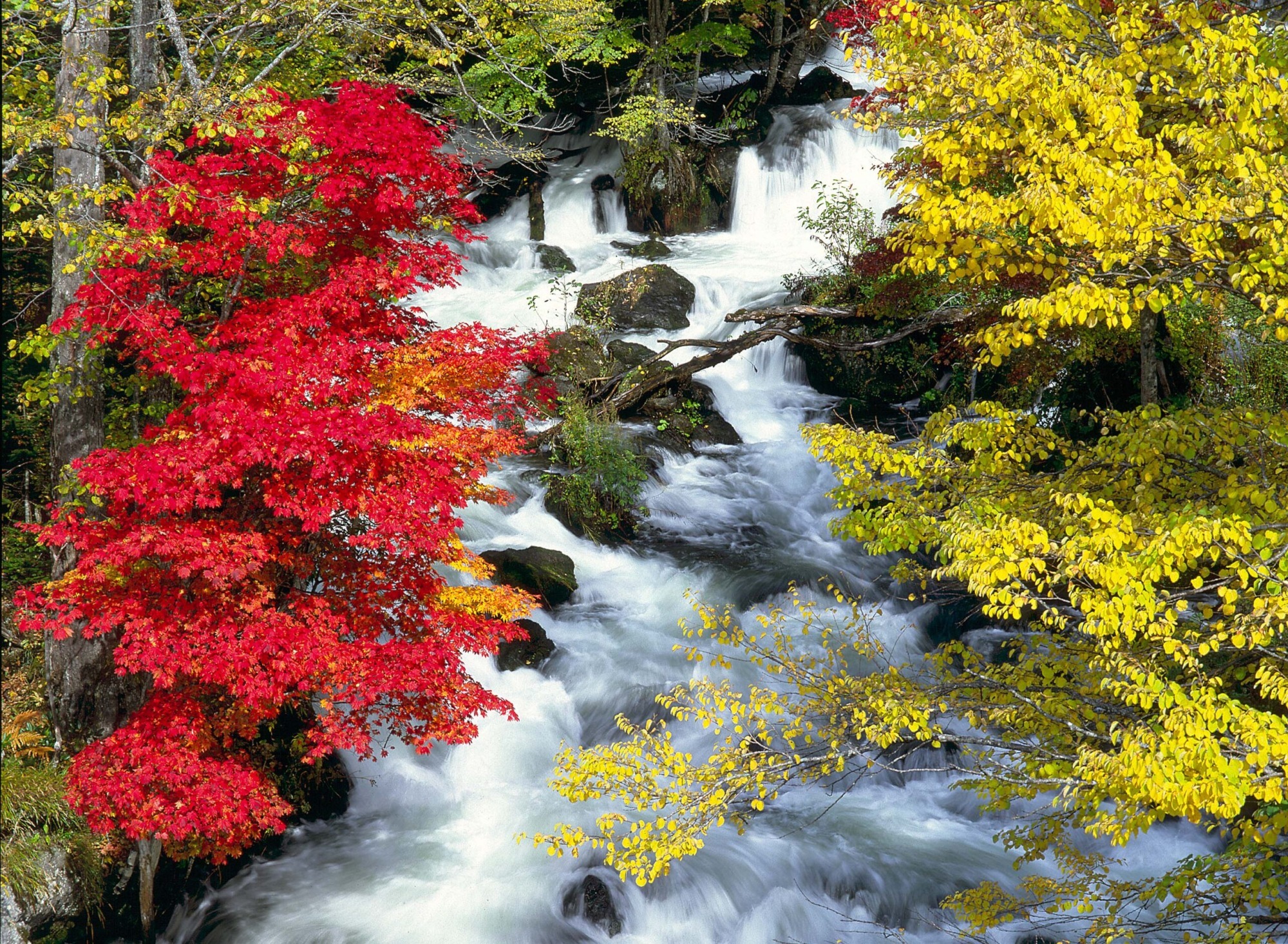 北海道拥有美丽红叶景致的湖泊与水池5选